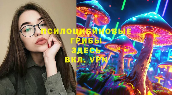 ECSTASY Богданович