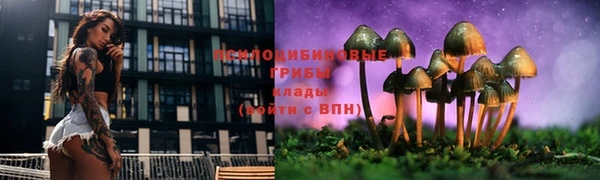 тгк Богородицк