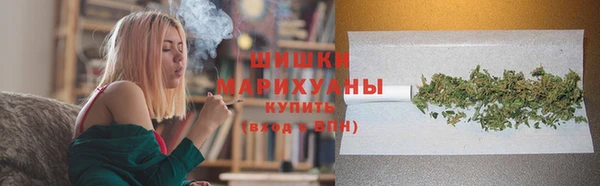 тгк Богородицк