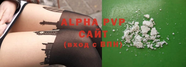 ECSTASY Богданович