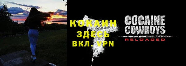 ПСИЛОЦИБИНОВЫЕ ГРИБЫ Белокуриха
