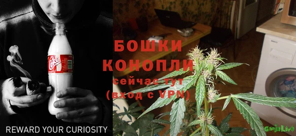 ПСИЛОЦИБИНОВЫЕ ГРИБЫ Белокуриха